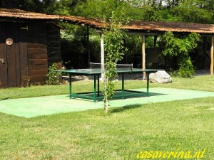 ping pong (1)